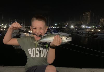 Atlantic horse mackerel