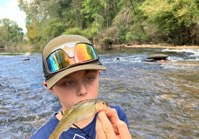 River chub