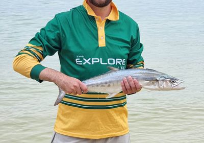 Queensland school mackerel