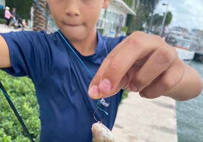 Blue-barred parrotfish