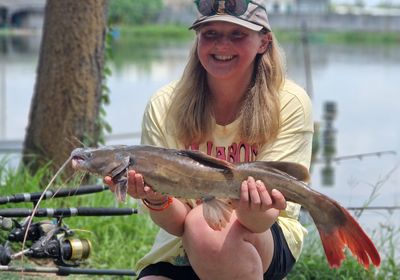 Asian redtail catfish