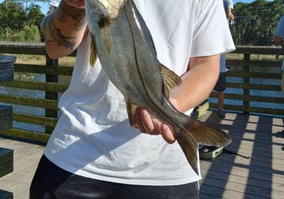 Bass fishing Palm City, Florida (4 fish caught) 