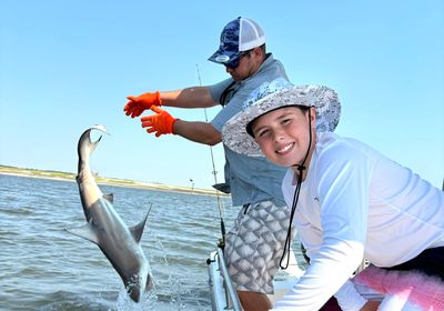 Spinner shark