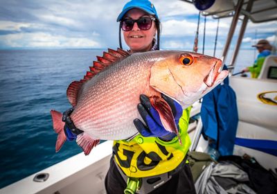 Two-spot red snapper