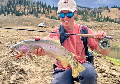 Yellowstone cutthroat trout