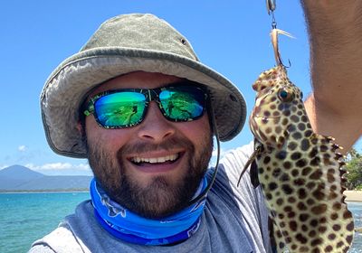 Longfin grouper