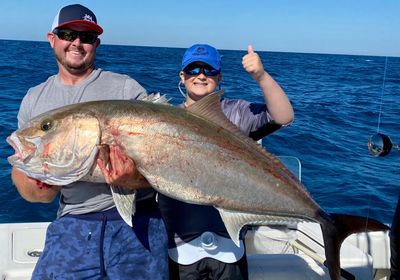 Greater amberjack