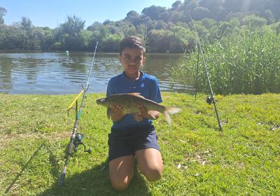 Orange river mudfish