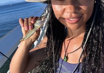 Pacific staghorn sculpin