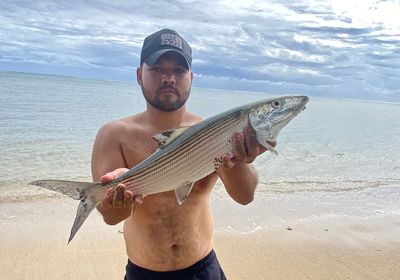 West Atlantic bonefish