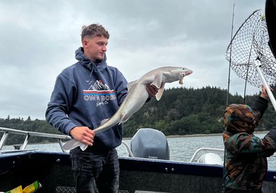 Pacific spiny dogfish