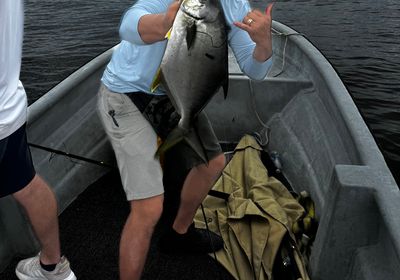 Florida pompano