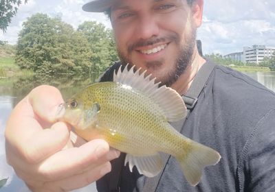 Spotted sunfish