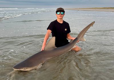 Dusky shark