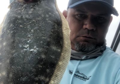 Southern flounder