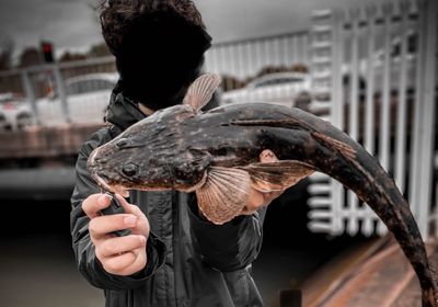 Dusky flathead