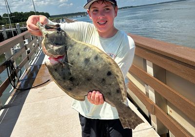 Gulf flounder