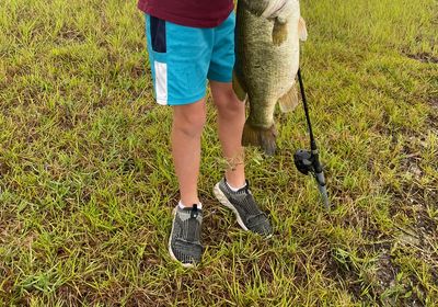 Florida bass