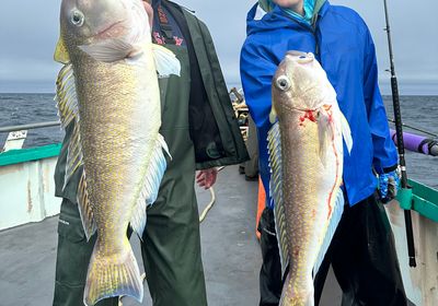 Great northern tilefish