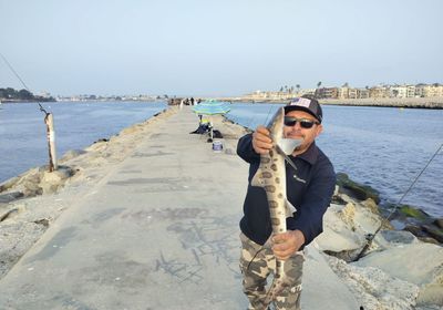 Leopard shark