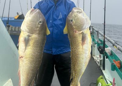 Great northern tilefish