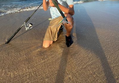 Bluespotted cornetfish