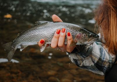 Coastal cutthroat trout