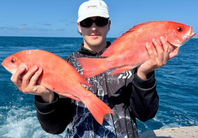 Malabar blood snapper