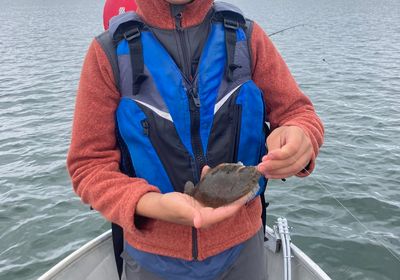 Pacific sand sole