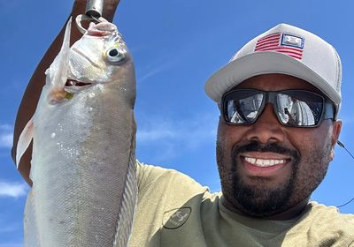 Atlantic goldeye tilefish