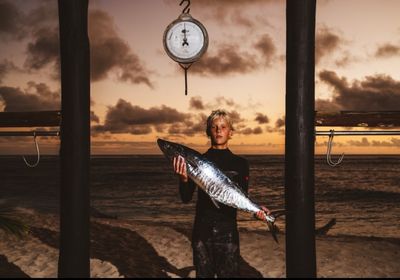 Narrow-barred Spanish mackerel