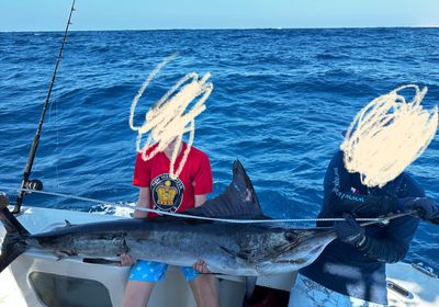 Striped marlin