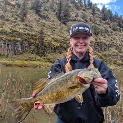 The most popular recent Smallmouth bass catch on Fishbrain
