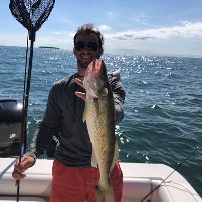 ᐅ Hauncks Pond fishing reports🎣• Port Clinton, OH (United States