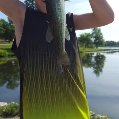 ᐅ Woodward Lake fishing reports🎣• Jefferson City, MO (United States)  fishing