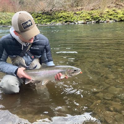 South Fork Trask River fishing reports Forest Grove OR