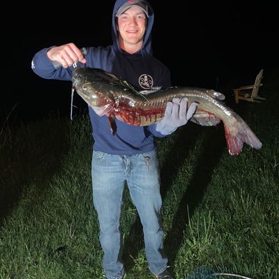 Rockford Lake fishing reports Beatrice NE United States