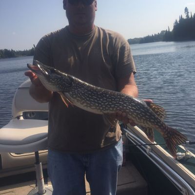 ᐅ Shallow Lake fishing reports🎣• Ontario, Canada fishing