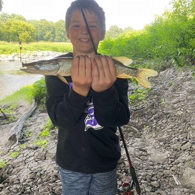 Chippewa River fishing reports Marshall MN United States