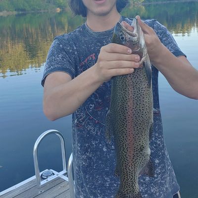 ᐅ Colville River fishing reports🎣• WA, United States fishing