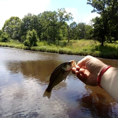 Fishing in Heyburn Lake Area