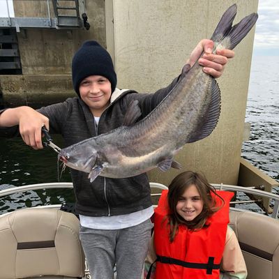 ᐅ Bayou Saint John fishing reports🎣• Metairie, LA (United States) fishing