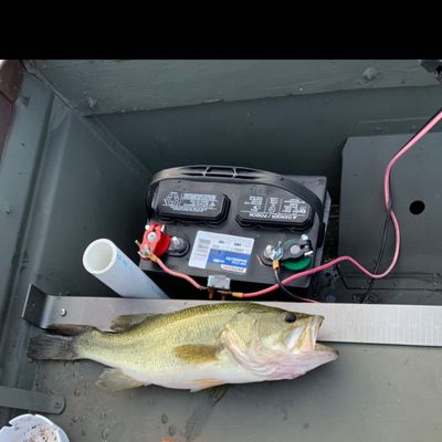 ᐅ Upper Rhoda Pond fishing reports🎣• Red Hook, NY (United States