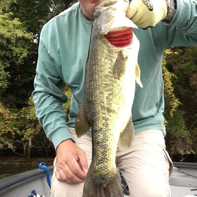 ᐅ Spray Pond fishing reports🎣• Meadowbrook, VA (United States) fishing