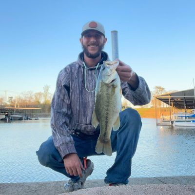 ᐅ Elk River fishing reports🎣• Athens, AL (United States) fishing