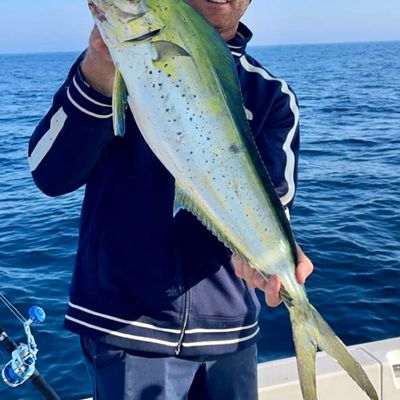 ᐅ Orient Harbor fishing reports🎣• Southold, NY (United States) fishing