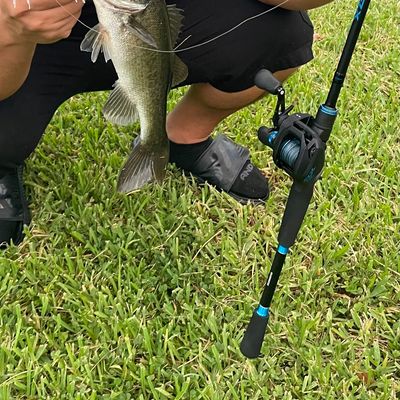 ᐅ Lake Conine fishing reports🎣• Winter Haven, FL (United States