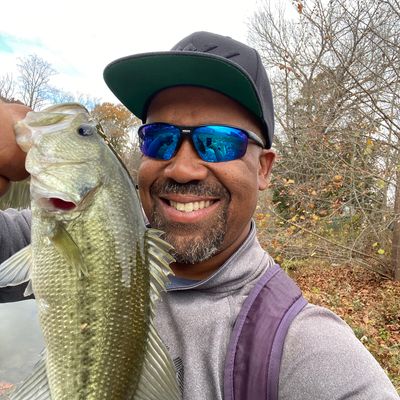 ᐅ Ellis Spring fishing reports🎣• East Ridge, GA (United States) fishing