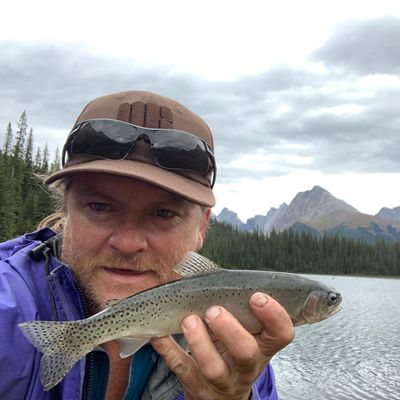 ᐅ Spray Lakes Reservoir fishing reports🎣• Alberta, Canada fishing