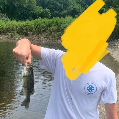 ᐅ Nod Brook fishing reports🎣• Avon, CT (United States) fishing